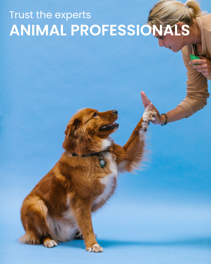 Animal-Professional