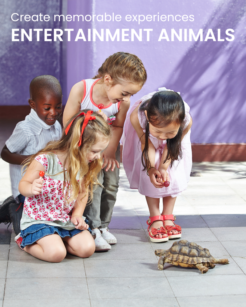Entertainment-Animals